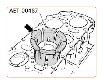 aet-00487_pic2.jpg