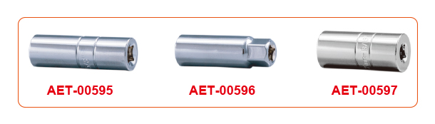 aet-00595_pic2.jpg