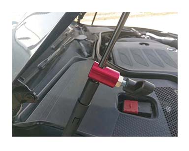 aet-00788_pic2.jpg